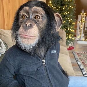 Meet your Posher, Alan